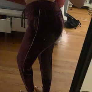 Purple velvet joggers